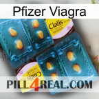 Pfizer Viagra cialis5